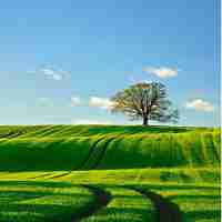 搜​索‍专‌业﻿术‌语﻿怎​么​说​